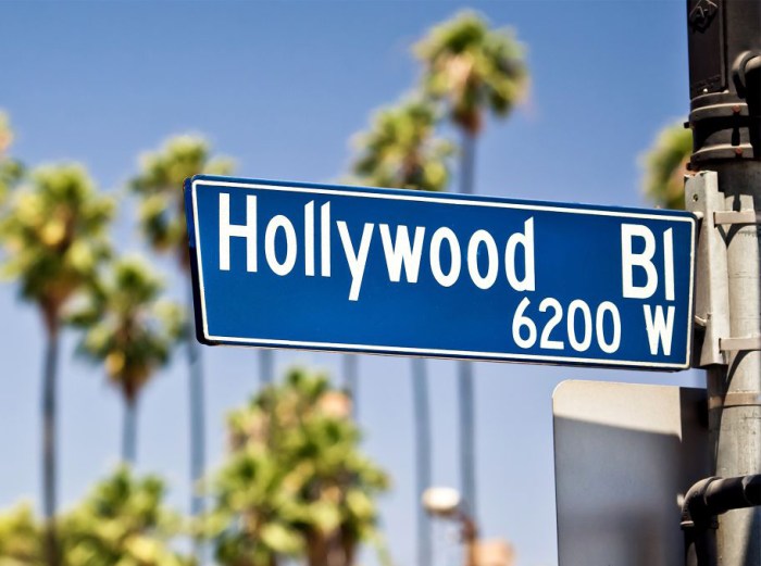 2_0045_HollywoodBoulevard