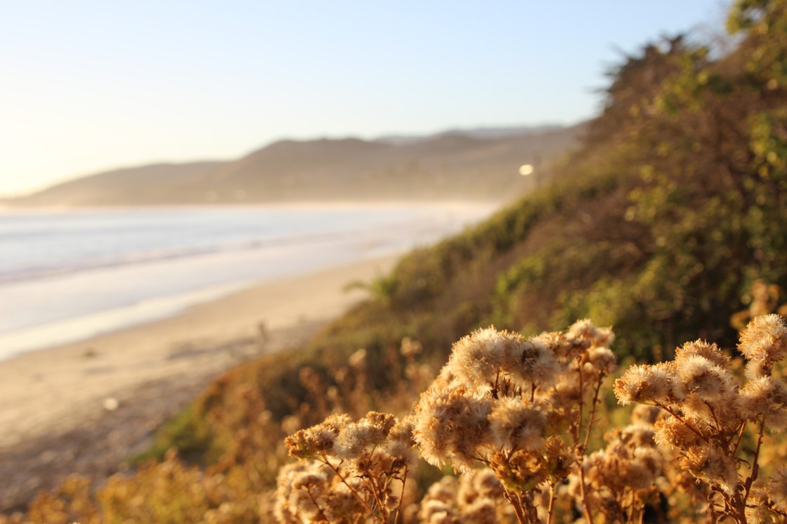 Tipps für einen unvergesslichen Kalifornien-Kurztrip – Teil&nbsp;1