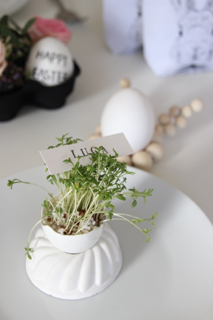 UNADJUSTEDNONRAW_thumb_1033