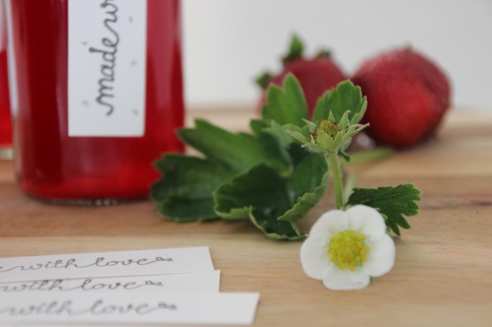 UNADJUSTEDNONRAW_thumb_3244