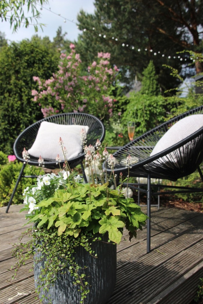 UNADJUSTEDNONRAW_thumb_3253