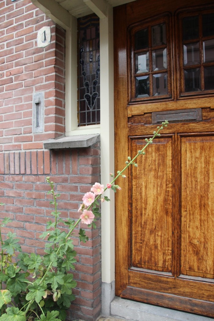 UNADJUSTEDNONRAW_thumb_3a2e