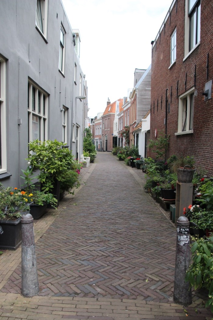 UNADJUSTEDNONRAW_thumb_3a30