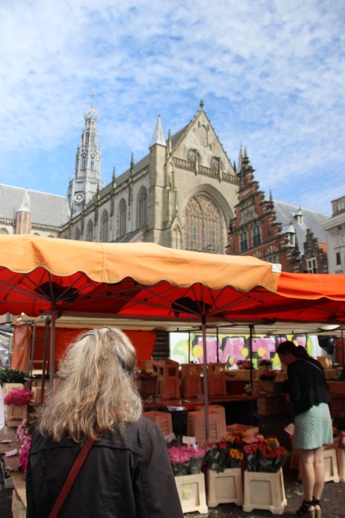 UNADJUSTEDNONRAW_thumb_3a60