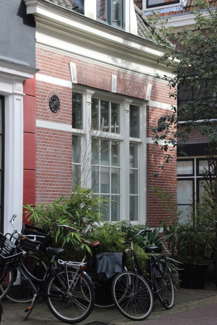 UNADJUSTEDNONRAW_thumb_3aba