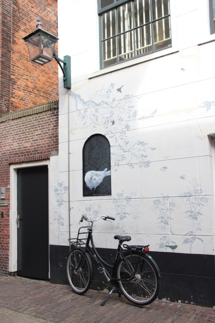 UNADJUSTEDNONRAW_thumb_3ac7