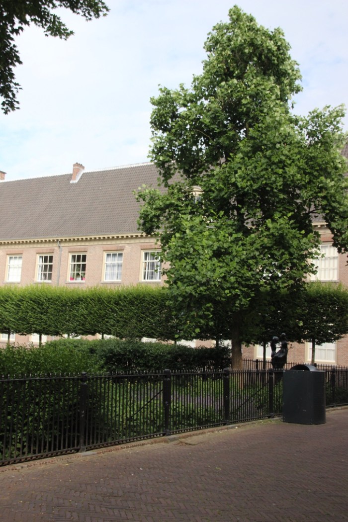 UNADJUSTEDNONRAW_thumb_3ad3