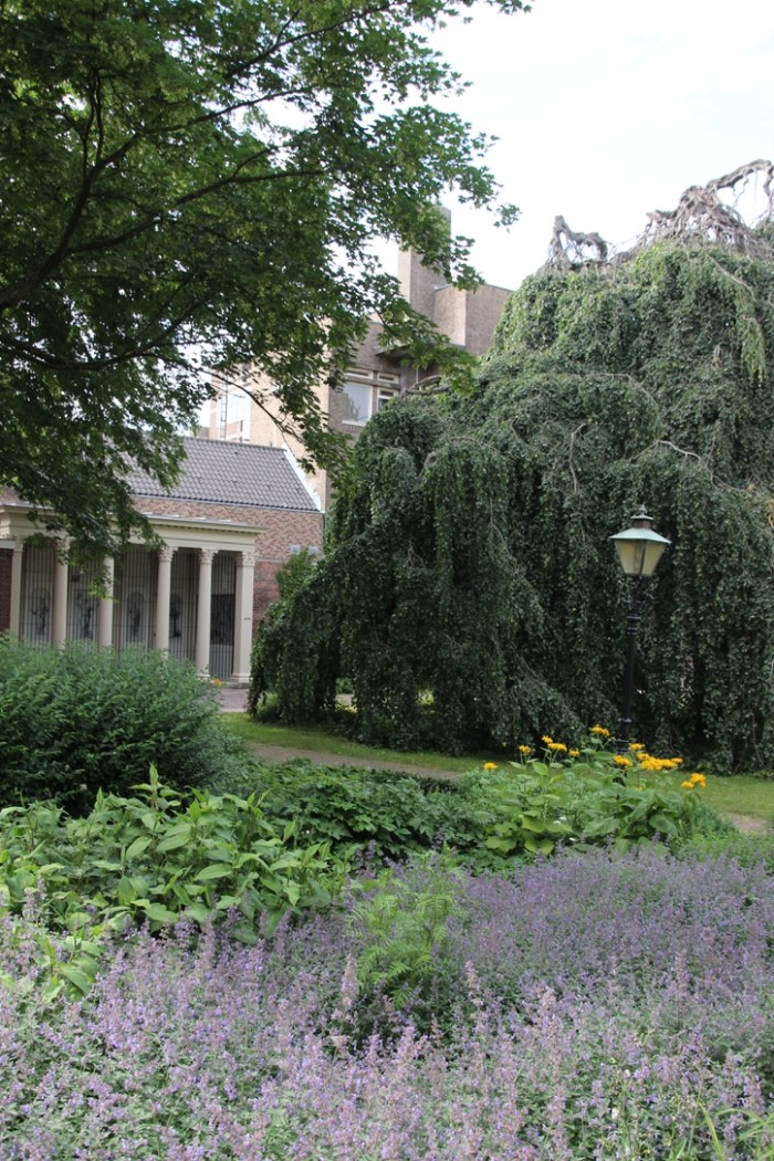 UNADJUSTEDNONRAW_thumb_3ada