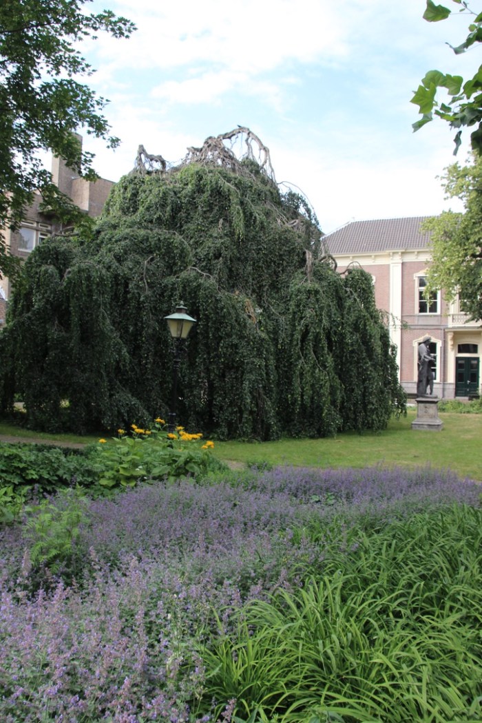 UNADJUSTEDNONRAW_thumb_3add