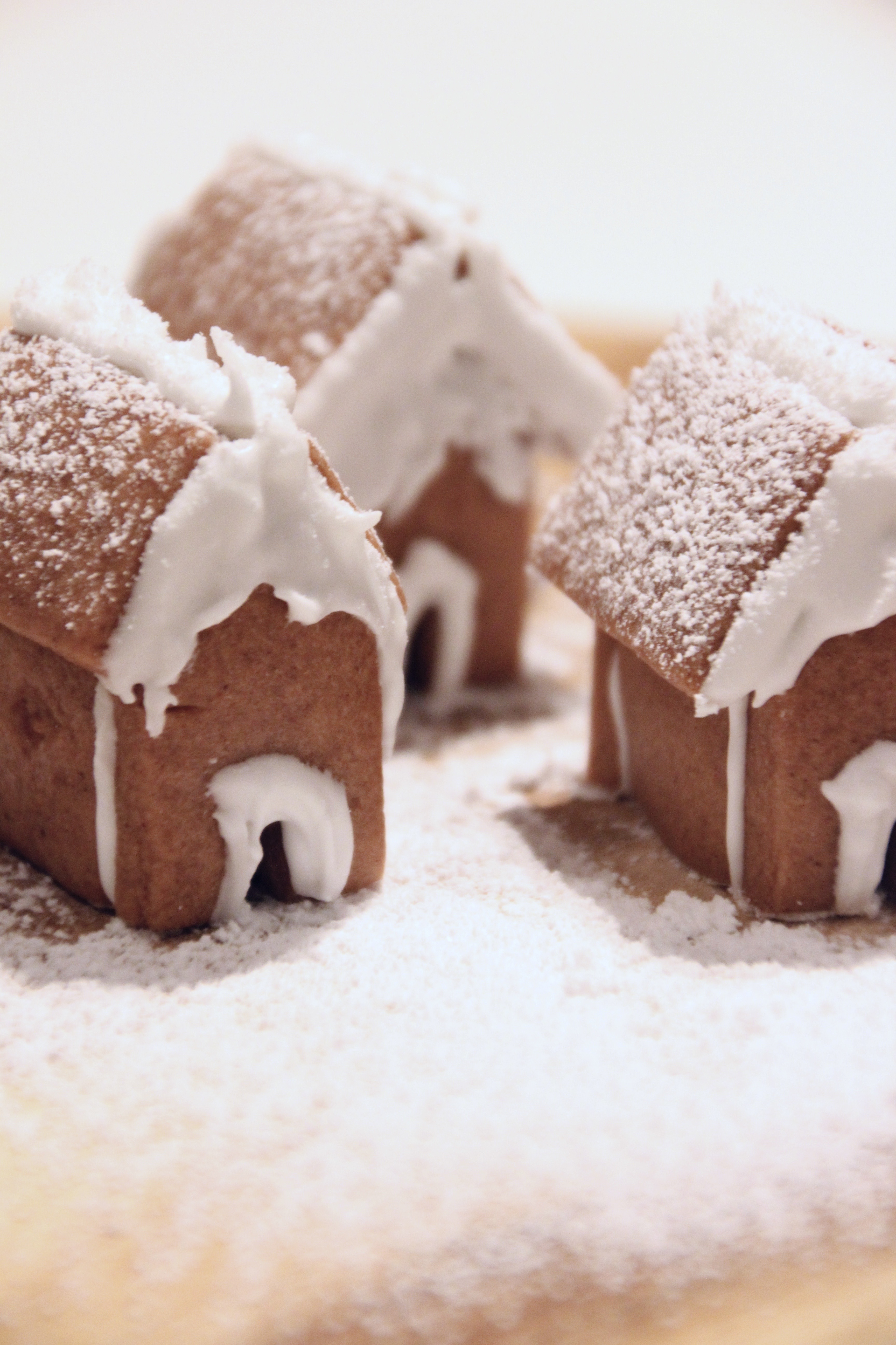 Lebkuchenhaus Verpackung Gingerbread House