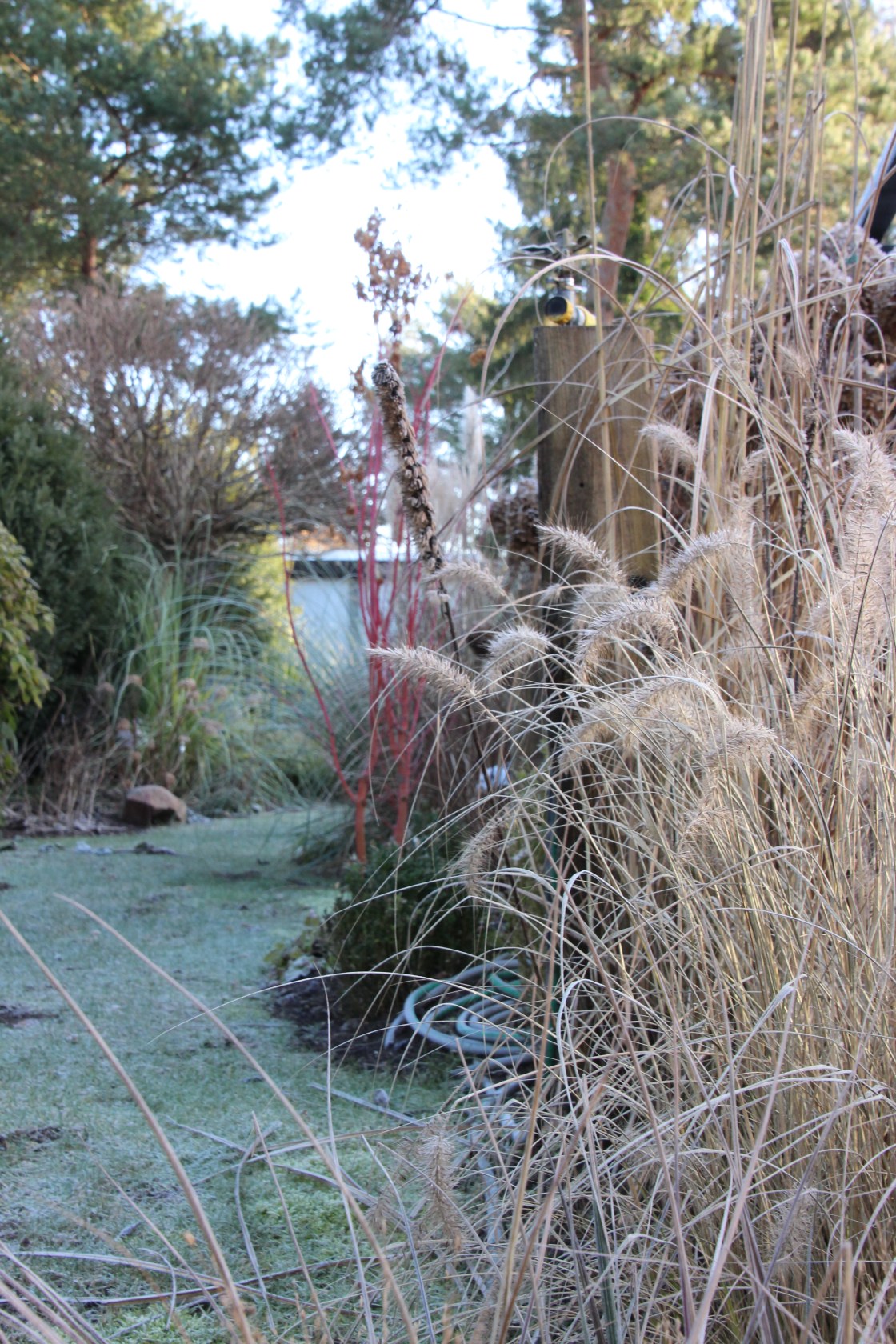 Unser Garten im&nbsp;Winter