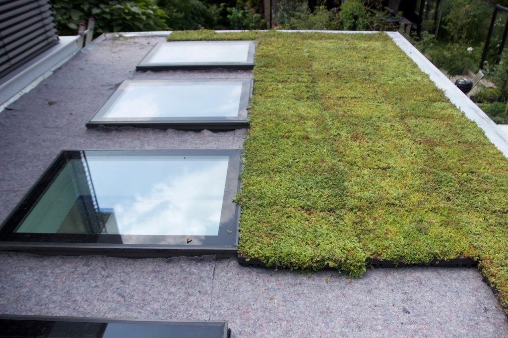 Dachbegrünung Ecodesum Pack