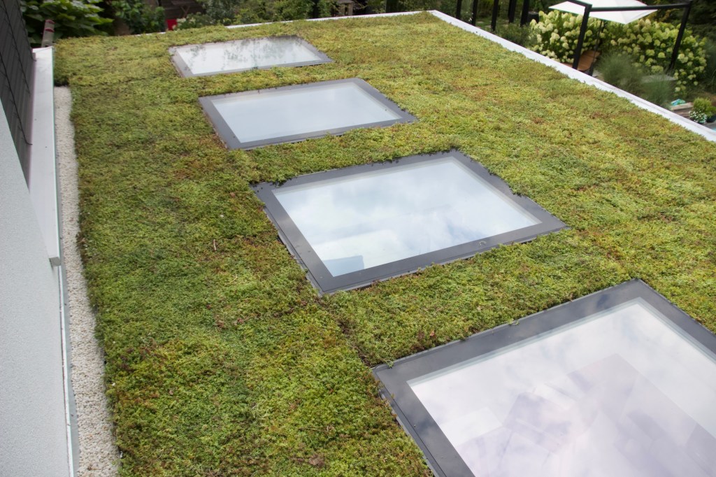 Dachbegrünung Ecodesum Pack