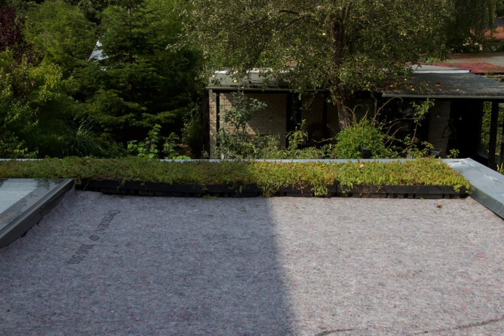 Dachbegrünung Ecodesum Pack