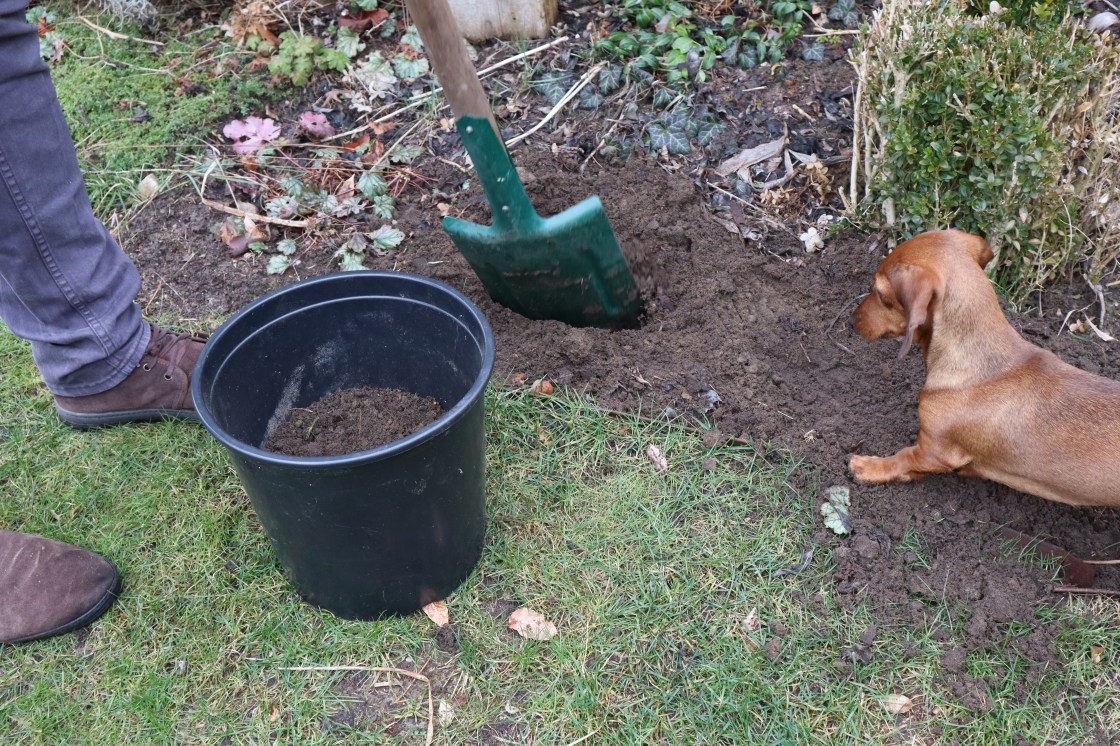 Ein gesunder Boden mit den Produkten von CUXIN&nbsp;DCM
