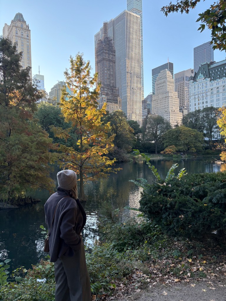 Spaziergang im herbstlichen Central Park in New York mit bunter Laubfärbung