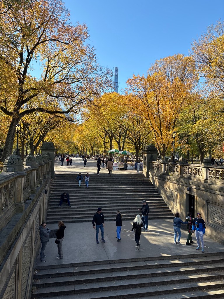 Blick über den Central Park in New York City