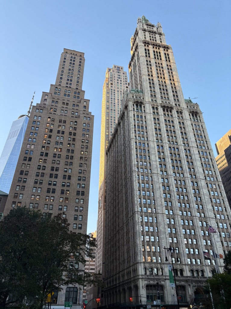 Shopping NYC 5th Avenue