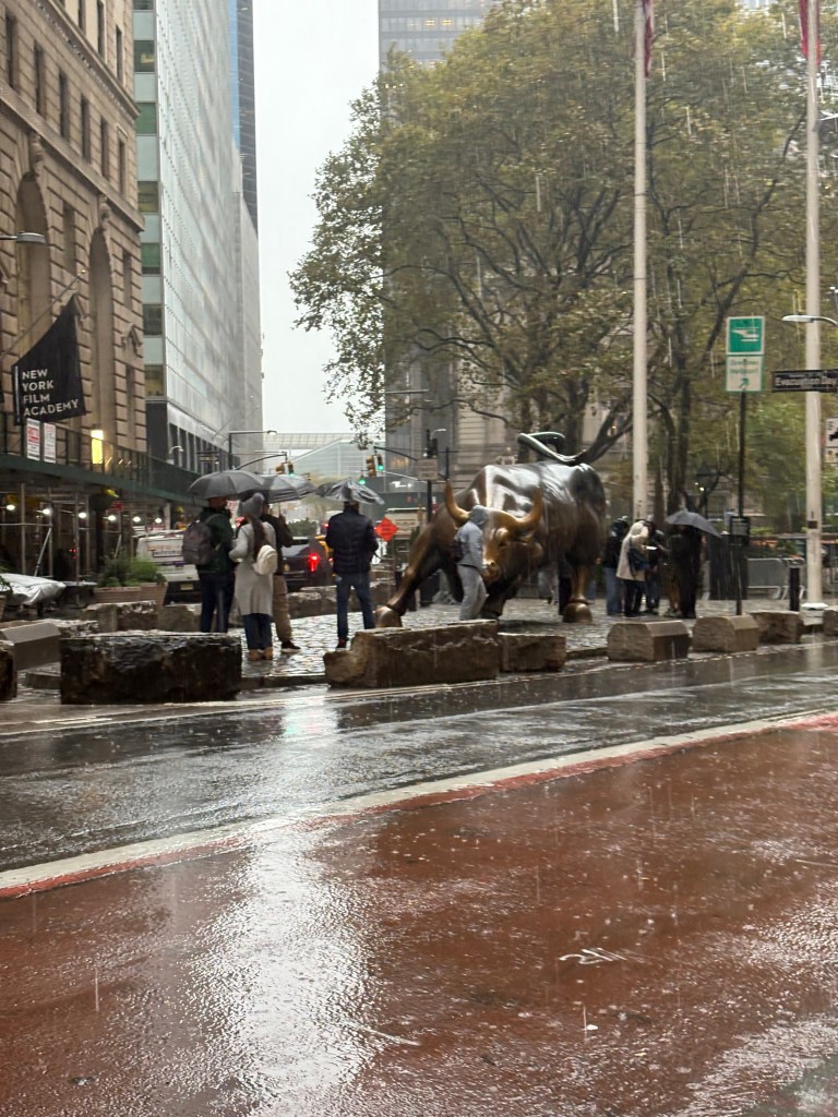 NYC Wall Street Charging Bull