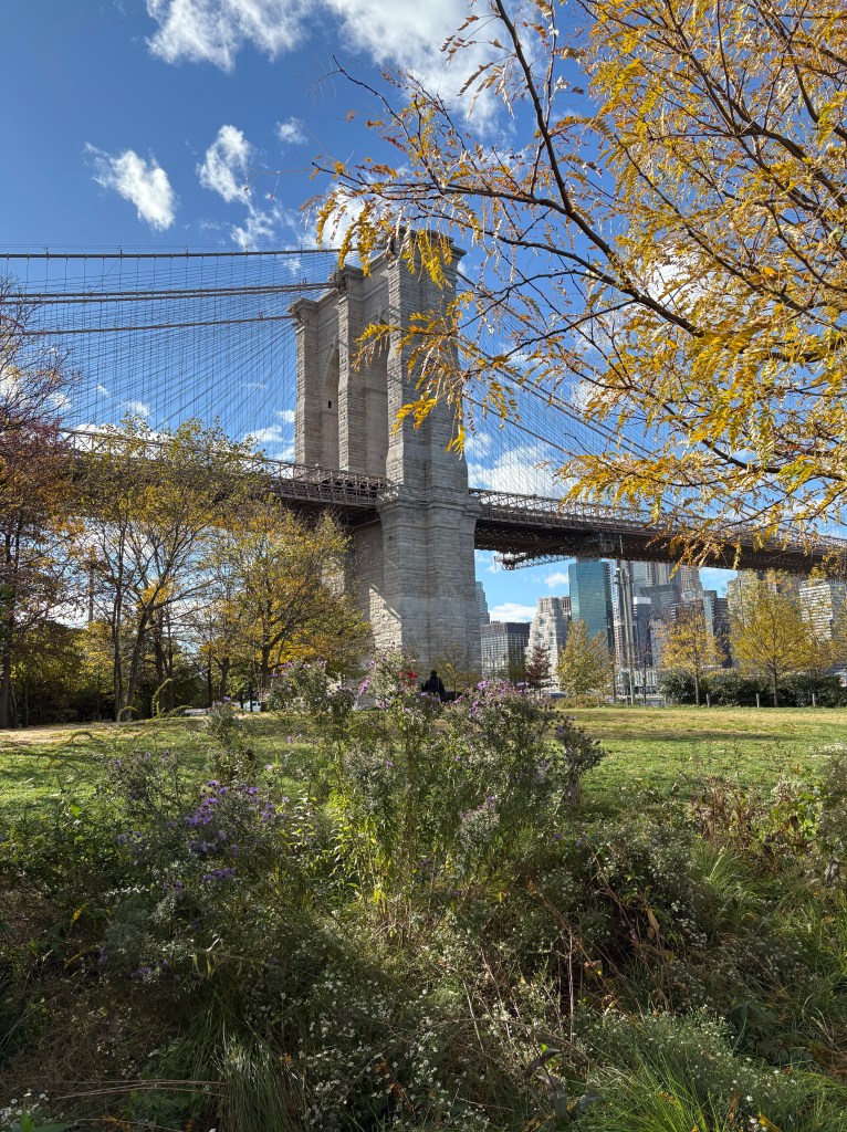 Blick auf die Brooklyn Bridge 