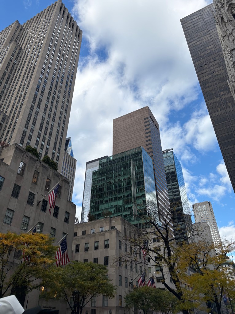 Shopping in New York City