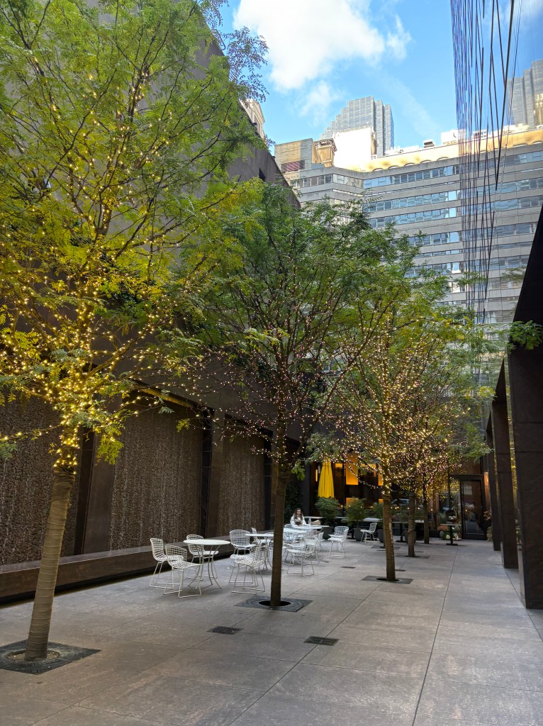 Shopping in New York City